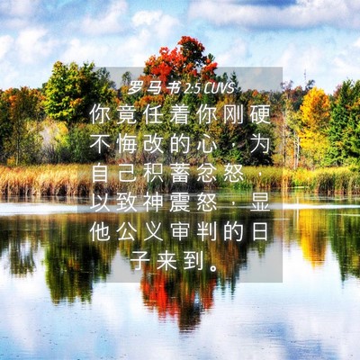 Picture 04 - 罗 马 书 2:5 CUVS - 你 竟 任 着 你 刚 硬 不 悔 改 的 心 - Bible Verse Picture