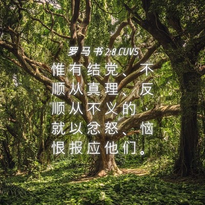 Picture 04 - 罗 马 书 2:8 CUVS - 惟 有 结 党 、 不 顺 从 真 理 、 反 - Bible Verse Picture