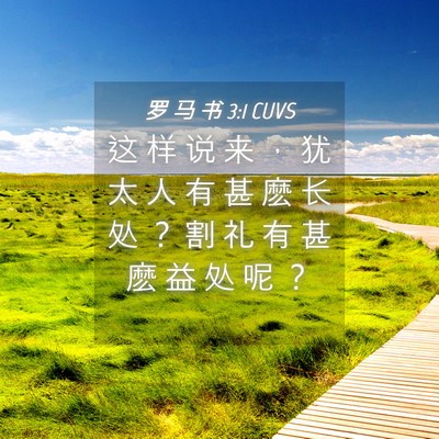 Picture 04 - 罗 马 书 3:1 CUVS - 这 样 说 来 ， 犹 太 人 有 甚 麽 长 - Bible Verse Picture