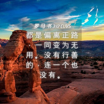 Picture 04 - 罗 马 书 3:12 CUVS - 都 是 偏 离 正 路 ， 一 同 变 为 无 - Bible Verse Picture