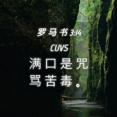 Picture 04 - 罗 马 书 3:14 CUVS - 满 口 是 咒 骂 苦 毒 - Bible Verse Picture