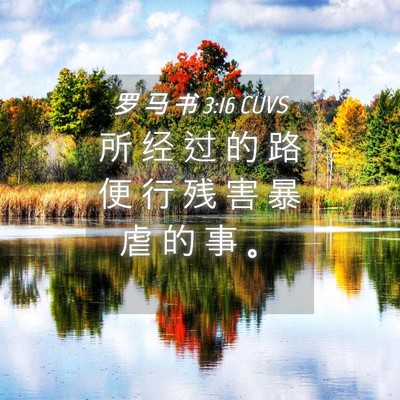 Picture 04 - 罗 马 书 3:16 CUVS - 所 经 过 的 路 便 行 残 害 暴 虐 的 - Bible Verse Picture