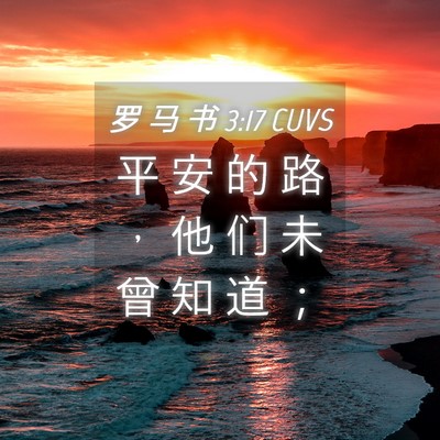 Picture 04 - 罗 马 书 3:17 CUVS - 平 安 的 路 ， 他 们 未 曾 知 道 - Bible Verse Picture