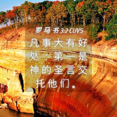 Picture 04 - 罗 马 书 3:2 CUVS - 凡 事 大 有 好 处 ： 第 一 是 神 的 - Bible Verse Picture