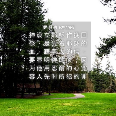 Picture 04 - 罗 马 书 3:25 CUVS - 神 设 立 耶 稣 作 挽 回 祭 ， 是 凭 - Bible Verse Picture
