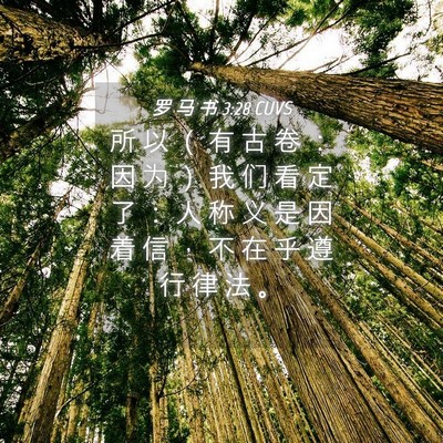 Picture 04 - 罗 马 书 3:28 CUVS - 所 以 （ 有 古 卷 ： 因 为 ） 我 们 - Bible Verse Picture