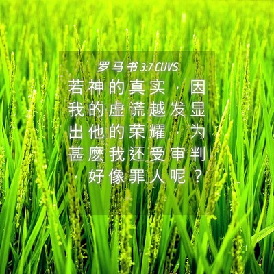 Picture 04 - 罗 马 书 3:7 CUVS - 若 神 的 真 实 ， 因 我 的 虚 谎 越 - Bible Verse Picture