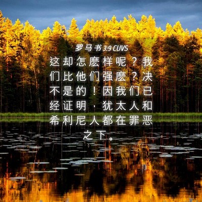 Picture 04 - 罗 马 书 3:9 CUVS - 这 却 怎 麽 样 呢 ？ 我 们 比 他 们 - Bible Verse Picture
