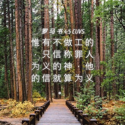 Picture 04 - 罗 马 书 4:5 CUVS - 惟 有 不 做 工 的 ， 只 信 称 罪 人 - Bible Verse Picture