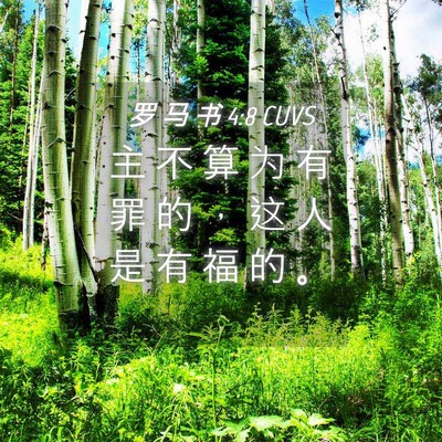 Picture 04 - 罗 马 书 4:8 CUVS - 主 不 算 为 有 罪 的 ， 这 人 是 有 - Bible Verse Picture