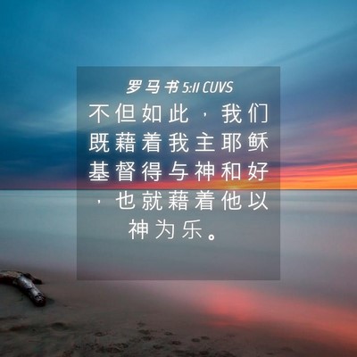 Picture 04 - 罗 马 书 5:11 CUVS - 不 但 如 此 ， 我 们 既 藉 着 我 主 - Bible Verse Picture
