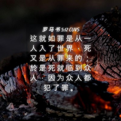 Picture 04 - 罗 马 书 5:12 CUVS - 这 就 如 罪 是 从 一 人 入 了 世 界 - Bible Verse Picture