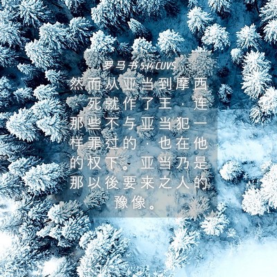 Picture 04 - 罗 马 书 5:14 CUVS - 然 而 从 亚 当 到 摩 西 ， 死 就 作 - Bible Verse Picture