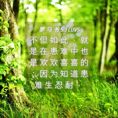 Picture 04 - 罗 马 书 5:3 CUVS - 不 但 如 此 ， 就 是 在 患 难 中 也 - Bible Verse Picture