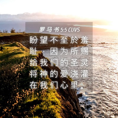 Picture 04 - 罗 马 书 5:5 CUVS - 盼 望 不 至 於 羞 耻 ， 因 为 所 赐 - Bible Verse Picture