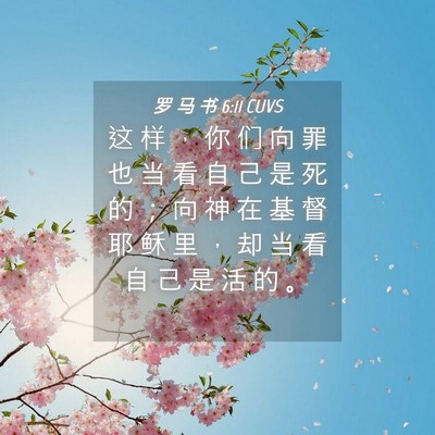 Picture 04 - 罗 马 书 6:11 CUVS - 这 样 ， 你 们 向 罪 也 当 看 自 己 - Bible Verse Picture