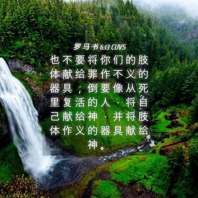 Picture 04 - 罗 马 书 6:13 CUVS - 也 不 要 将 你 们 的 肢 体 献 给 罪 - Bible Verse Picture