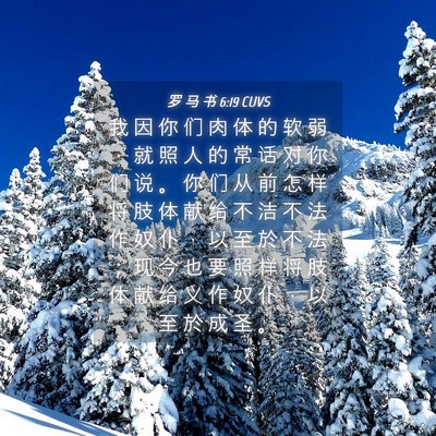Picture 04 - 罗 马 书 6:19 CUVS - 我 因 你 们 肉 体 的 软 弱 ， 就 照 - Bible Verse Picture