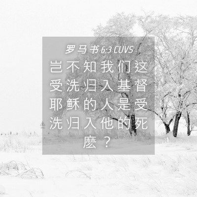 Picture 04 - 罗 马 书 6:3 CUVS - 岂 不 知 我 们 这 受 洗 归 入 基 督 - Bible Verse Picture