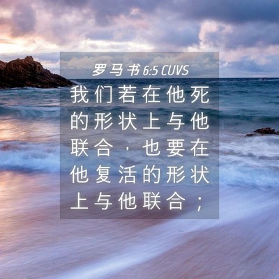 Picture 04 - 罗 马 书 6:5 CUVS - 我 们 若 在 他 死 的 形 状 上 与 他 - Bible Verse Picture