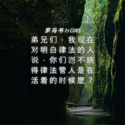 Picture 04 - 罗 马 书 7:1 CUVS - 弟 兄 们 ， 我 现 在 对 明 白 律 法 - Bible Verse Picture