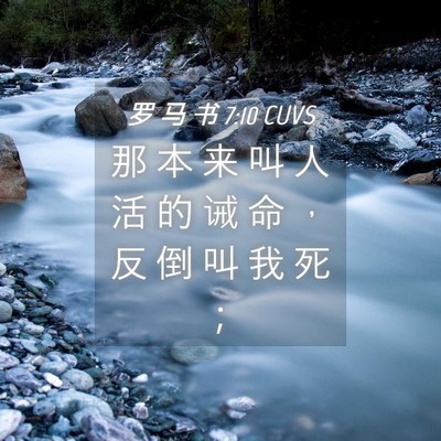 Picture 04 - 罗 马 书 7:10 CUVS - 那 本 来 叫 人 活 的 诫 命 ， 反 倒 - Bible Verse Picture