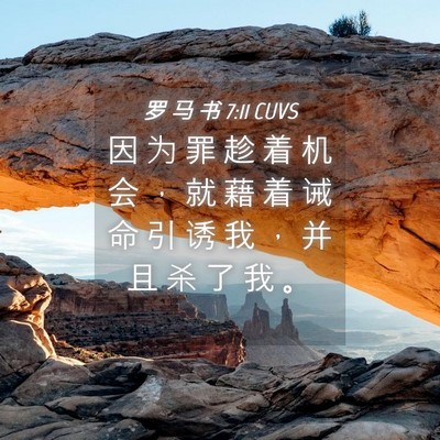 Picture 04 - 罗 马 书 7:11 CUVS - 因 为 罪 趁 着 机 会 ， 就 藉 着 诫 - Bible Verse Picture