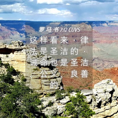 Picture 04 - 罗 马 书 7:12 CUVS - 这 样 看 来 ， 律 法 是 圣 洁 的 ， - Bible Verse Picture