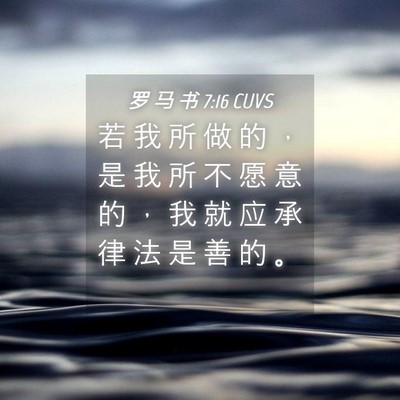 Picture 04 - 罗 马 书 7:16 CUVS - 若 我 所 做 的 ， 是 我 所 不 愿 意 - Bible Verse Picture