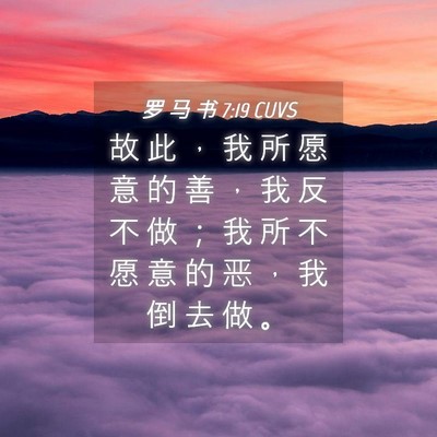 Picture 04 - 罗 马 书 7:19 CUVS - 故 此 ， 我 所 愿 意 的 善 ， 我 反 - Bible Verse Picture
