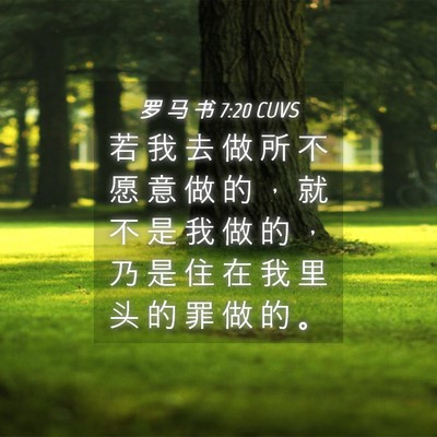 Picture 04 - 罗 马 书 7:20 CUVS - 若 我 去 做 所 不 愿 意 做 的 ， 就 - Bible Verse Picture
