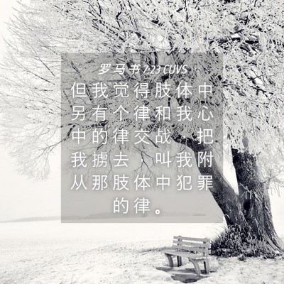 Picture 04 - 罗 马 书 7:23 CUVS - 但 我 觉 得 肢 体 中 另 有 个 律 和 - Bible Verse Picture