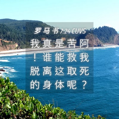 Picture 04 - 罗 马 书 7:24 CUVS - 我 真 是 苦 阿 ！ 谁 能 救 我 脱 离 - Bible Verse Picture