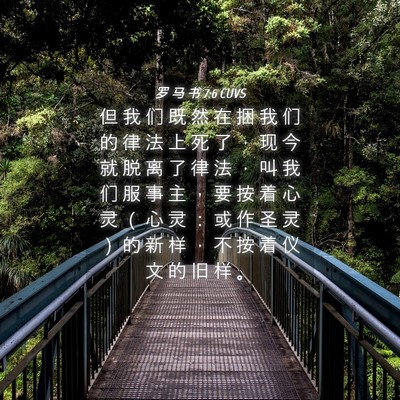 Picture 04 - 罗 马 书 7:6 CUVS - 但 我 们 既 然 在 捆 我 们 的 律 法 - Bible Verse Picture