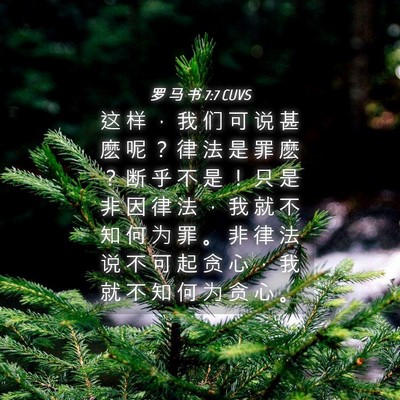 Picture 04 - 罗 马 书 7:7 CUVS - 这 样 ， 我 们 可 说 甚 麽 呢 ？ 律 - Bible Verse Picture