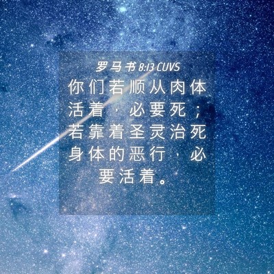 Picture 04 - 罗 马 书 8:13 CUVS - 你 们 若 顺 从 肉 体 活 着 ， 必 要 - Bible Verse Picture