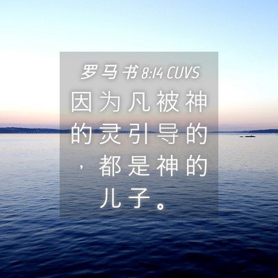 Picture 04 - 罗 马 书 8:14 CUVS - 因 为 凡 被 神 的 灵 引 导 的 ， 都 - Bible Verse Picture