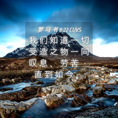Picture 04 - 罗 马 书 8:22 CUVS - 我 们 知 道 一 切 受 造 之 物 一 同 - Bible Verse Picture