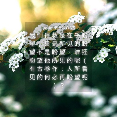Picture 04 - 罗 马 书 8:24 CUVS - 我 们 得 救 是 在 乎 盼 望 ； 只 是 - Bible Verse Picture