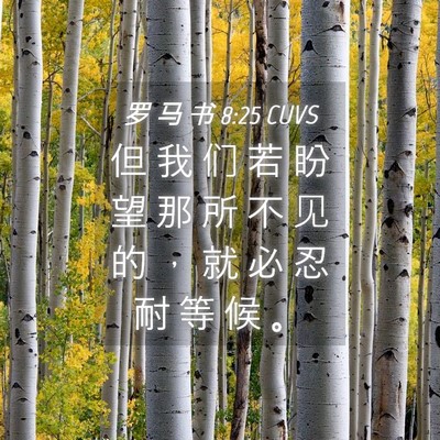 Picture 04 - 罗 马 书 8:25 CUVS - 但 我 们 若 盼 望 那 所 不 见 的 ， - Bible Verse Picture