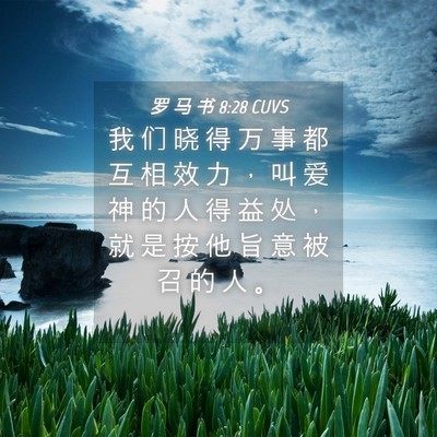 Picture 04 - 罗 马 书 8:28 CUVS - 我 们 晓 得 万 事 都 互 相 效 力 ， - Bible Verse Picture