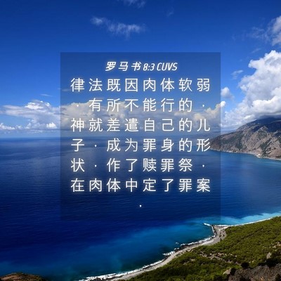 Picture 04 - 罗 马 书 8:3 CUVS - 律 法 既 因 肉 体 软 弱 ， 有 所 不 - Bible Verse Picture