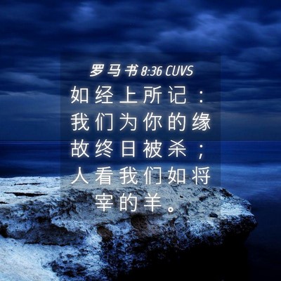 Picture 04 - 罗 马 书 8:36 CUVS - 如 经 上 所 记 ： 我 们 为 你 的 缘 - Bible Verse Picture