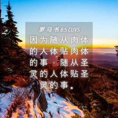 Picture 04 - 罗 马 书 8:5 CUVS - 因 为 随 从 肉 体 的 人 体 贴 肉 体 - Bible Verse Picture