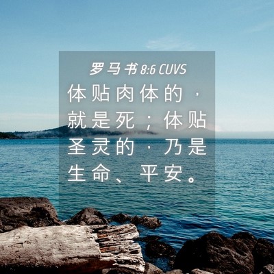 Picture 04 - 罗 马 书 8:6 CUVS - 体 贴 肉 体 的 ， 就 是 死 ； 体 贴 - Bible Verse Picture