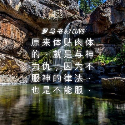 Picture 04 - 罗 马 书 8:7 CUVS - 原 来 体 贴 肉 体 的 ， 就 是 与 神 - Bible Verse Picture