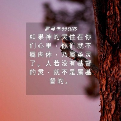Picture 04 - 罗 马 书 8:9 CUVS - 如 果 神 的 灵 住 在 你 们 心 里 ， - Bible Verse Picture