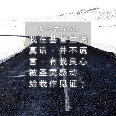 Picture 04 - 罗 马 书 9:1 CUVS - 我 在 基 督 里 说 真 话 ， 并 不 谎 - Bible Verse Picture
