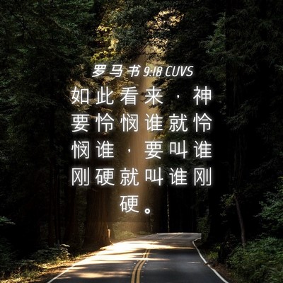 Picture 04 - 罗 马 书 9:18 CUVS - 如 此 看 来 ， 神 要 怜 悯 谁 就 怜 - Bible Verse Picture