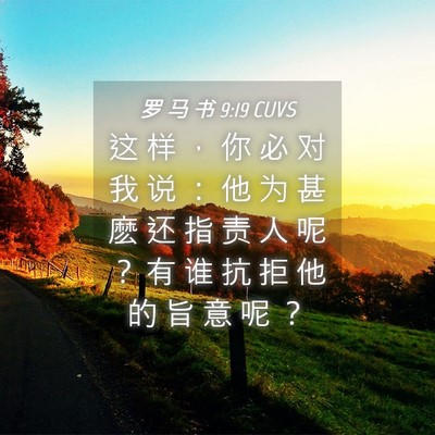 Picture 04 - 罗 马 书 9:19 CUVS - 这 样 ， 你 必 对 我 说 ： 他 为 甚 - Bible Verse Picture